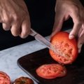 All Steel tomatinuga